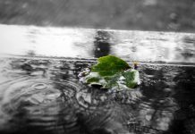 Another Wet Bank Holiday Wet Bank Holiday