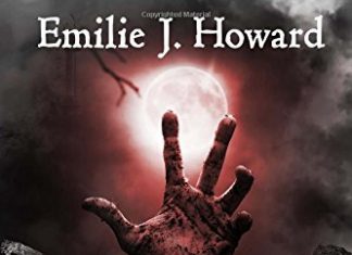 Cold Hollow by Emilie J Howard Review Cold Hollow
