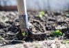 Don’t Update Your Garden Without Considering These Garden