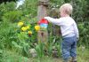 Tips To Make Your Garden A Safe Space For Your Children Safe