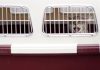 10 Tips When Flying with Pets Pets