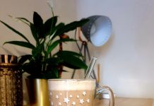 VASO Schott Glass Straws Review Glass Straws