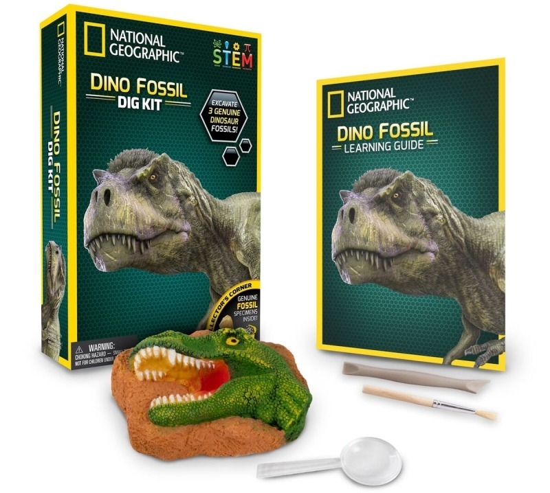 Dino Fossil Dig Kits