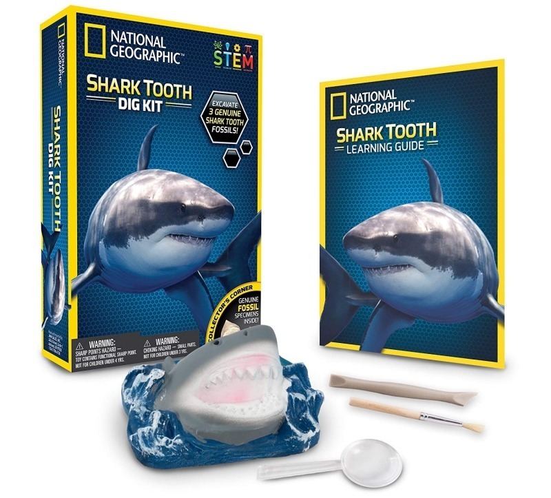 Shark Tooth Dig Kits