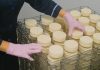 How to Scale A Food Processing Business Without Compromising Quality Food