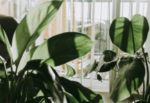 The Ultimate Green Home Checklist: Do You Need These Facilities? Green Home